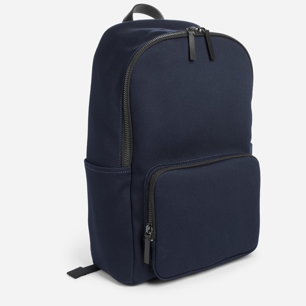 Everlane modern zip backpack (large)
